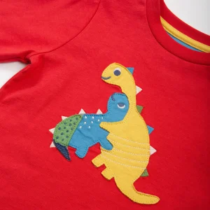 Dino hug t-shirt by kite